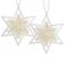 Scentsicles® 3" White Winter Fir Scented Star Ornament, 2ct.